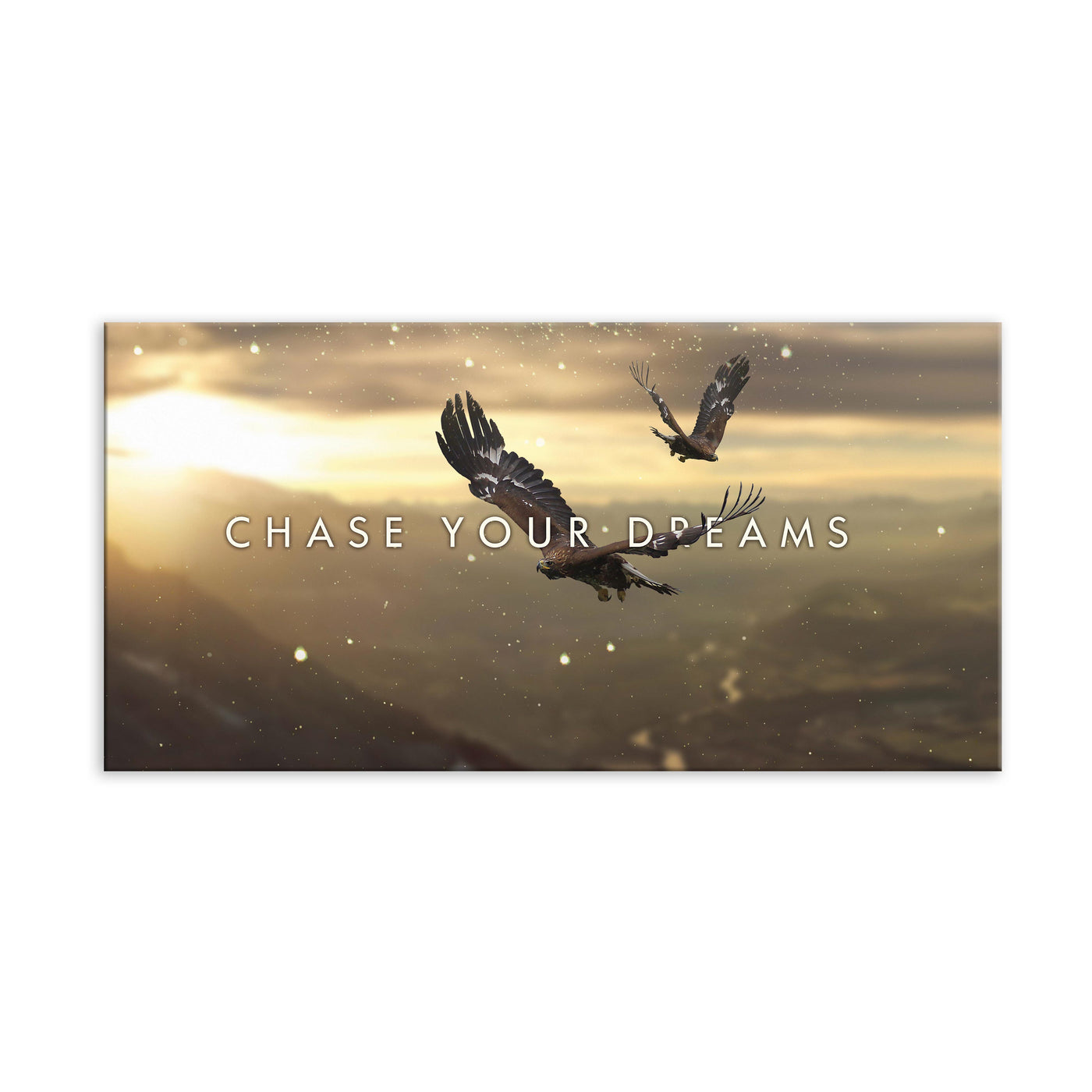 PANO CHASE YOUR DREAMS