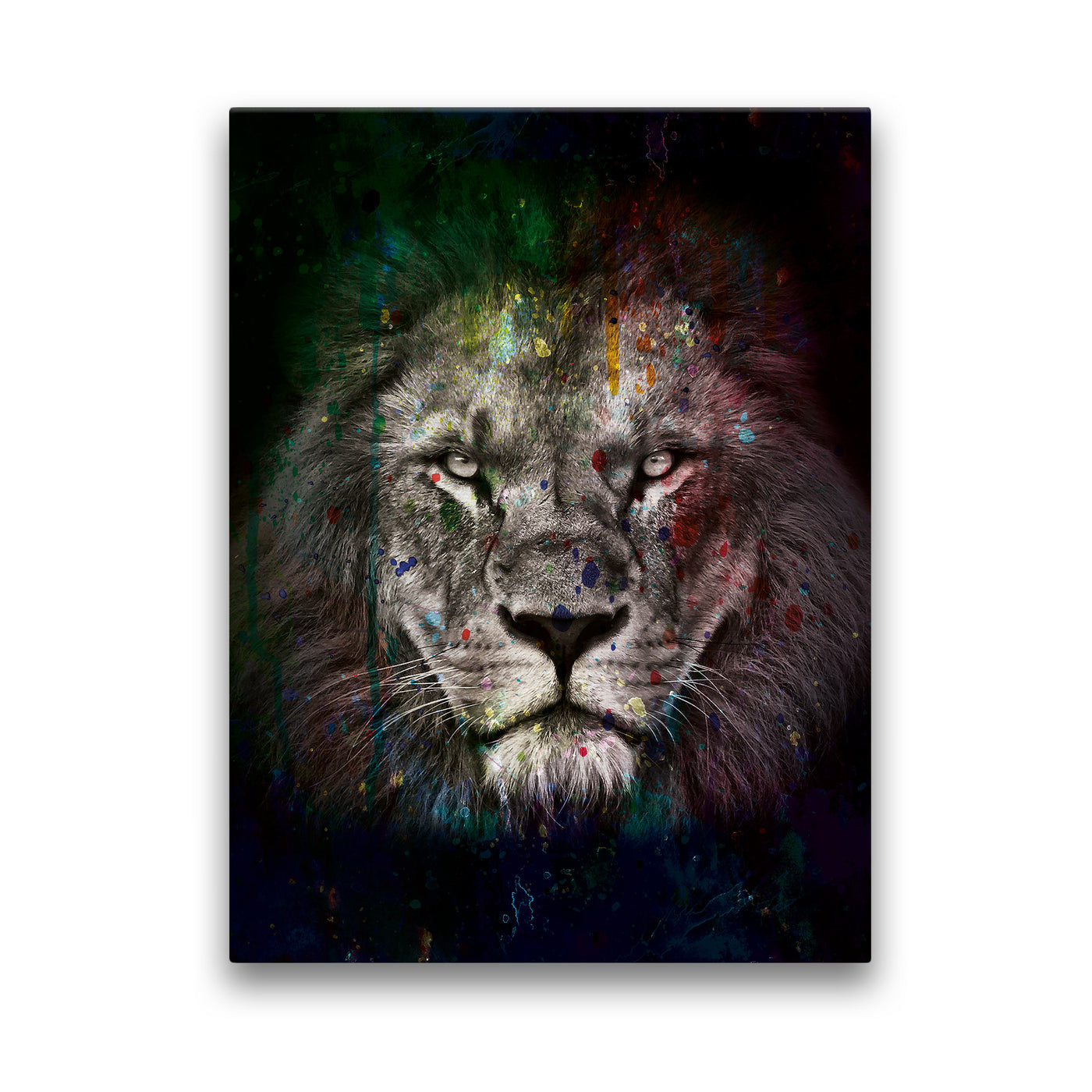 COLORFUL LION