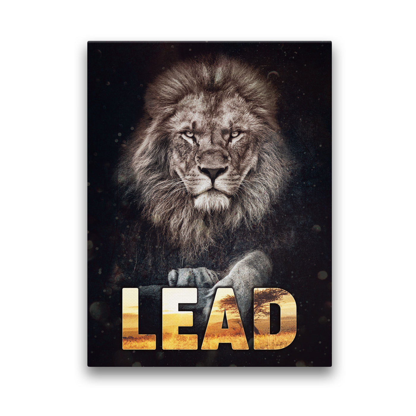 LION LEAD